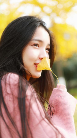 又痛又叫软件免费下载安装流程